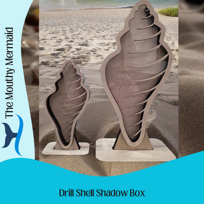 Drill Seashell Shadow Box