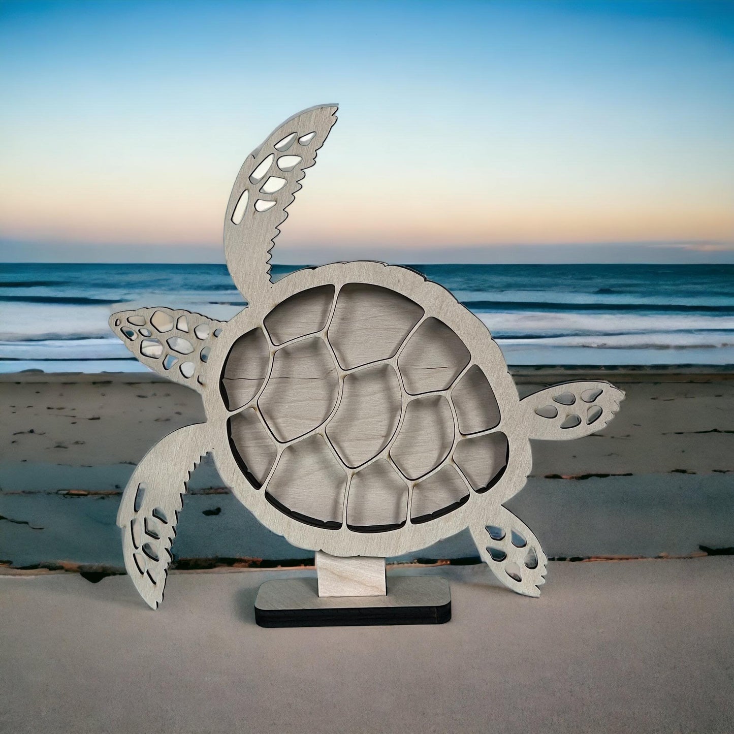 Sea Turtle Shadow Box Display