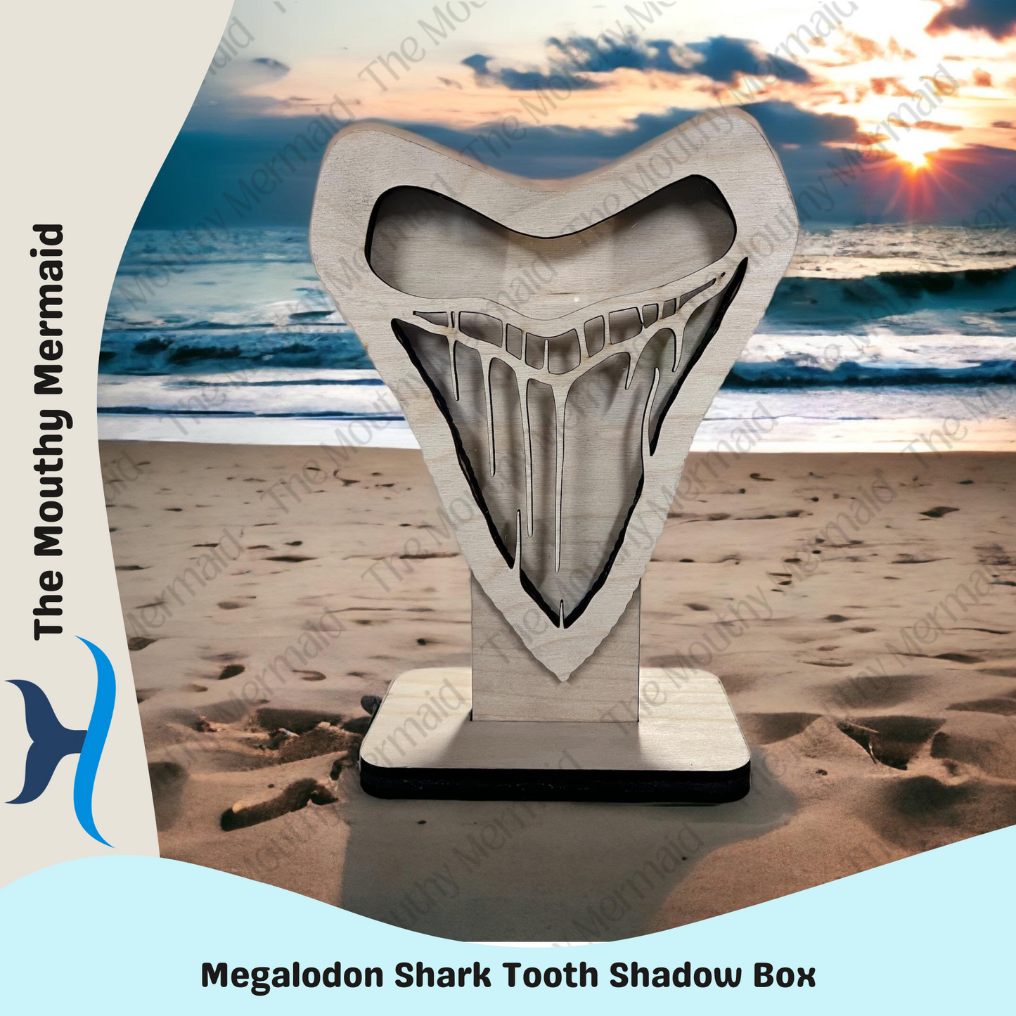MEGALODON Shadow Box Display