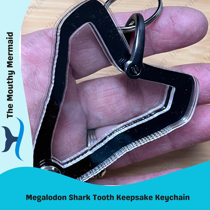 Megalodon Shark Tooth Fillable Keepsake Keychain