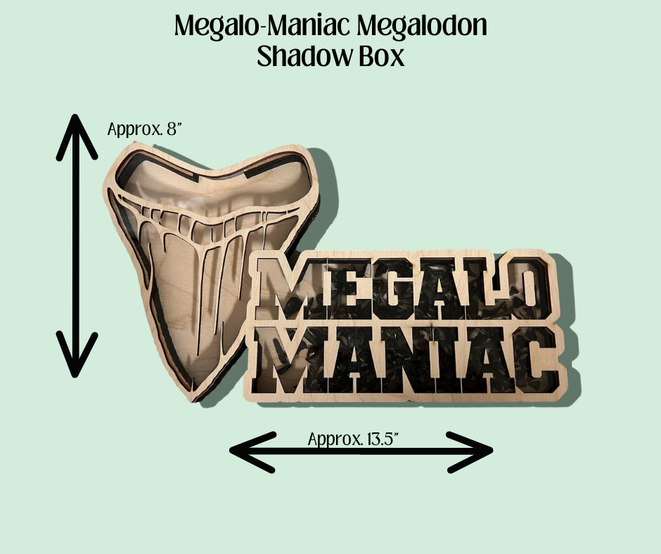 Megalo Maniac Megalodon Shadow Box Display