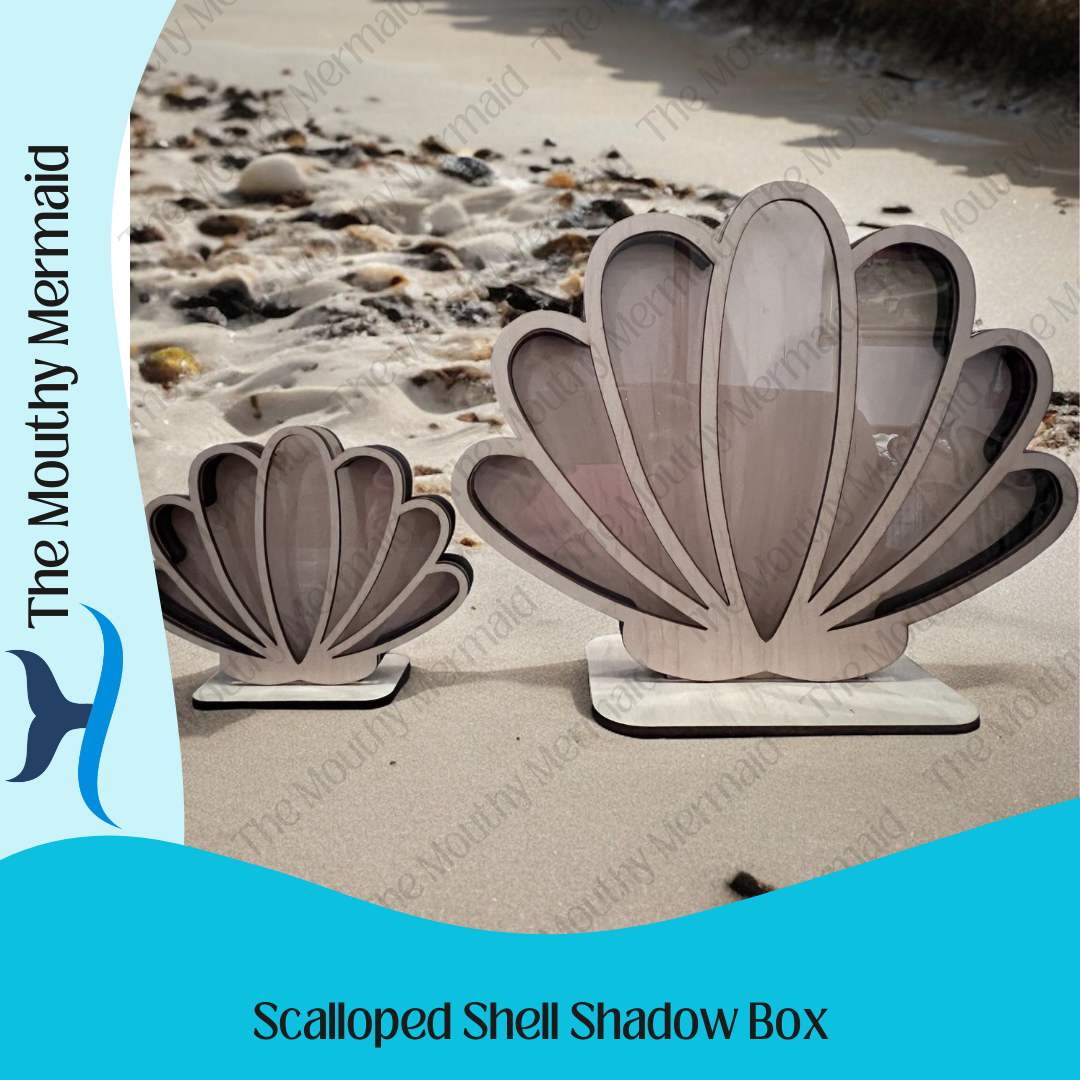 Scalloped Seashell Shadow Box