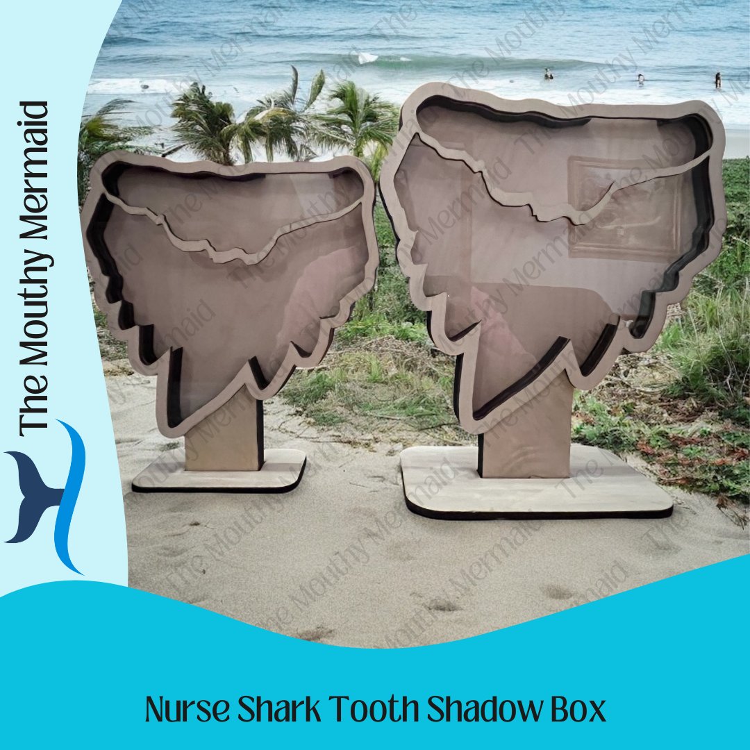 Nurse Shark Tooth Shadow Box