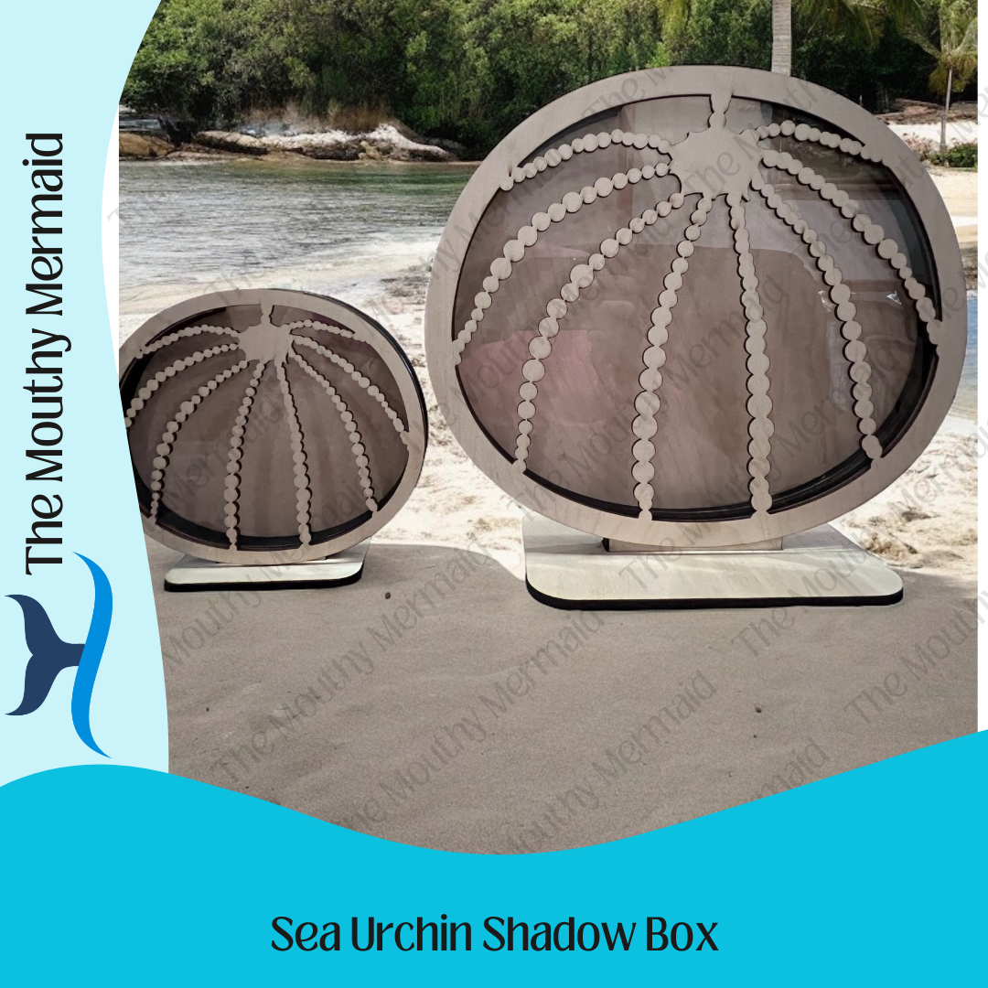 Sea Urchin Shadow Box