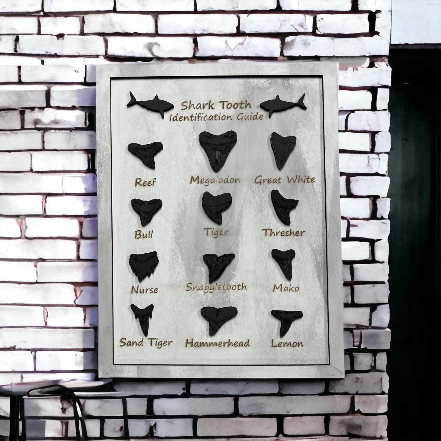 Shark Tooth Identification Guide Wall Hanging