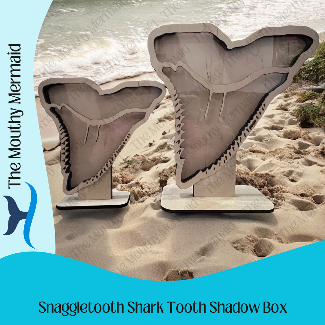Snaggletooth Shark Tooth Shadow Box