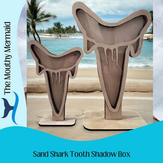 Sand Shark Tooth Shadow Box
