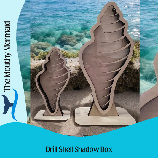 Drill Seashell Shadow Box
