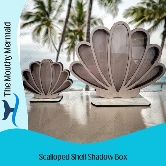 Scalloped Seashell Shadow Box
