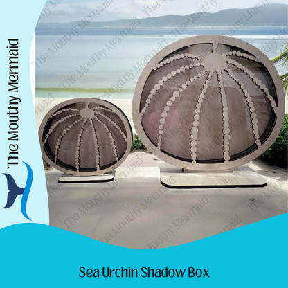 Sea Urchin Shadow Box