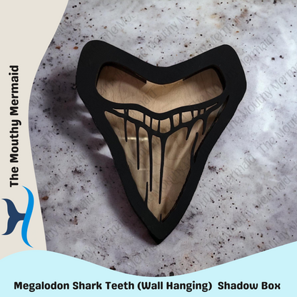 MEGALODON (WALL HANGING) Shadow Box Display