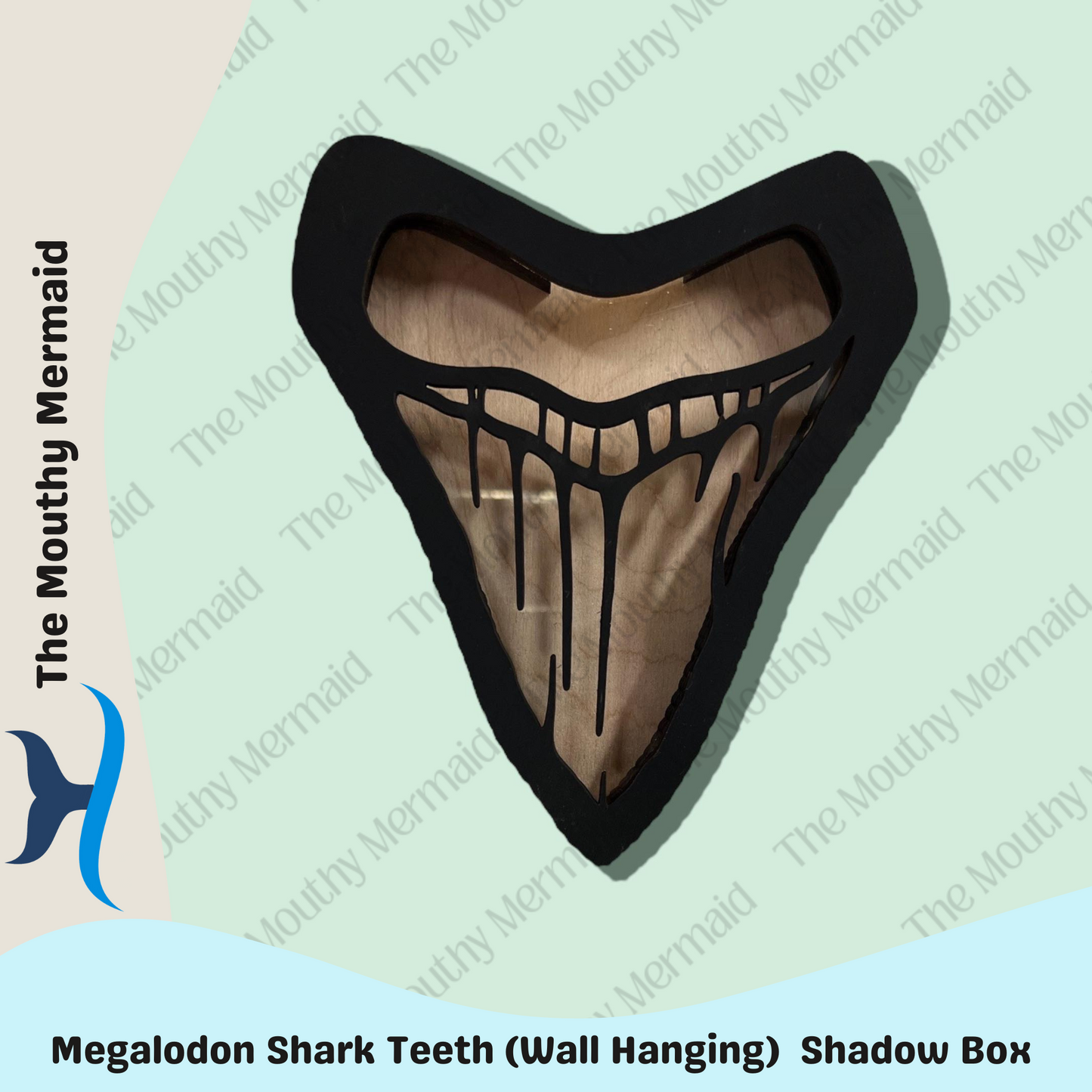Shark tooth MEGALODON (WALL HANGING) Shadow Box Display