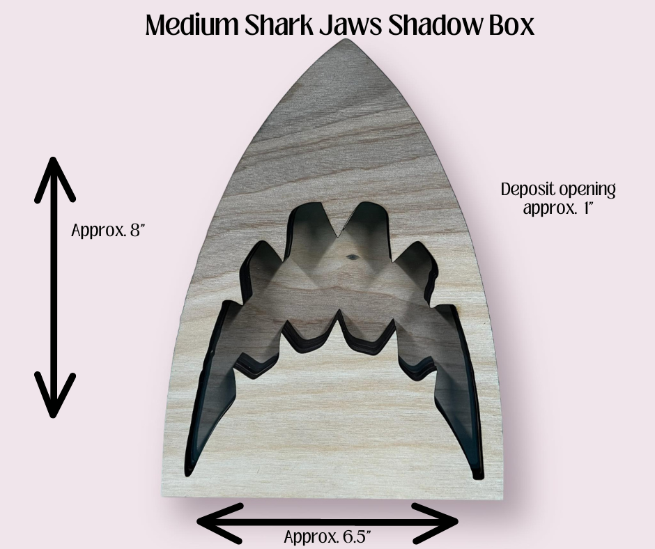Shark JAWS Shadow Box Display