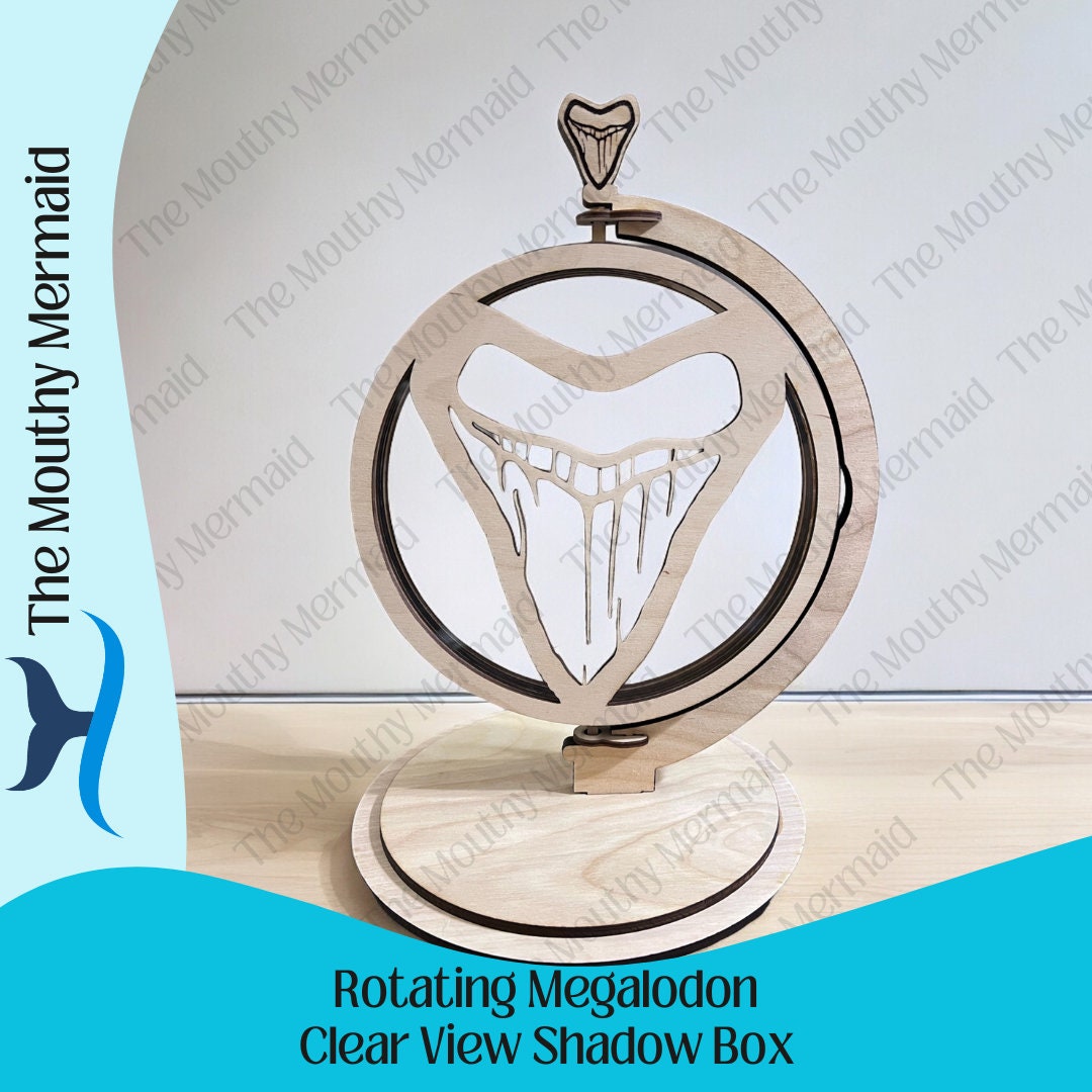 Rotating Clear View Megalodon Shadow Box