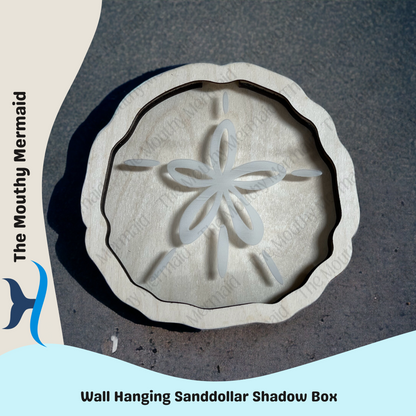 Sand Dollar WALL HANGING Shadow Box Display