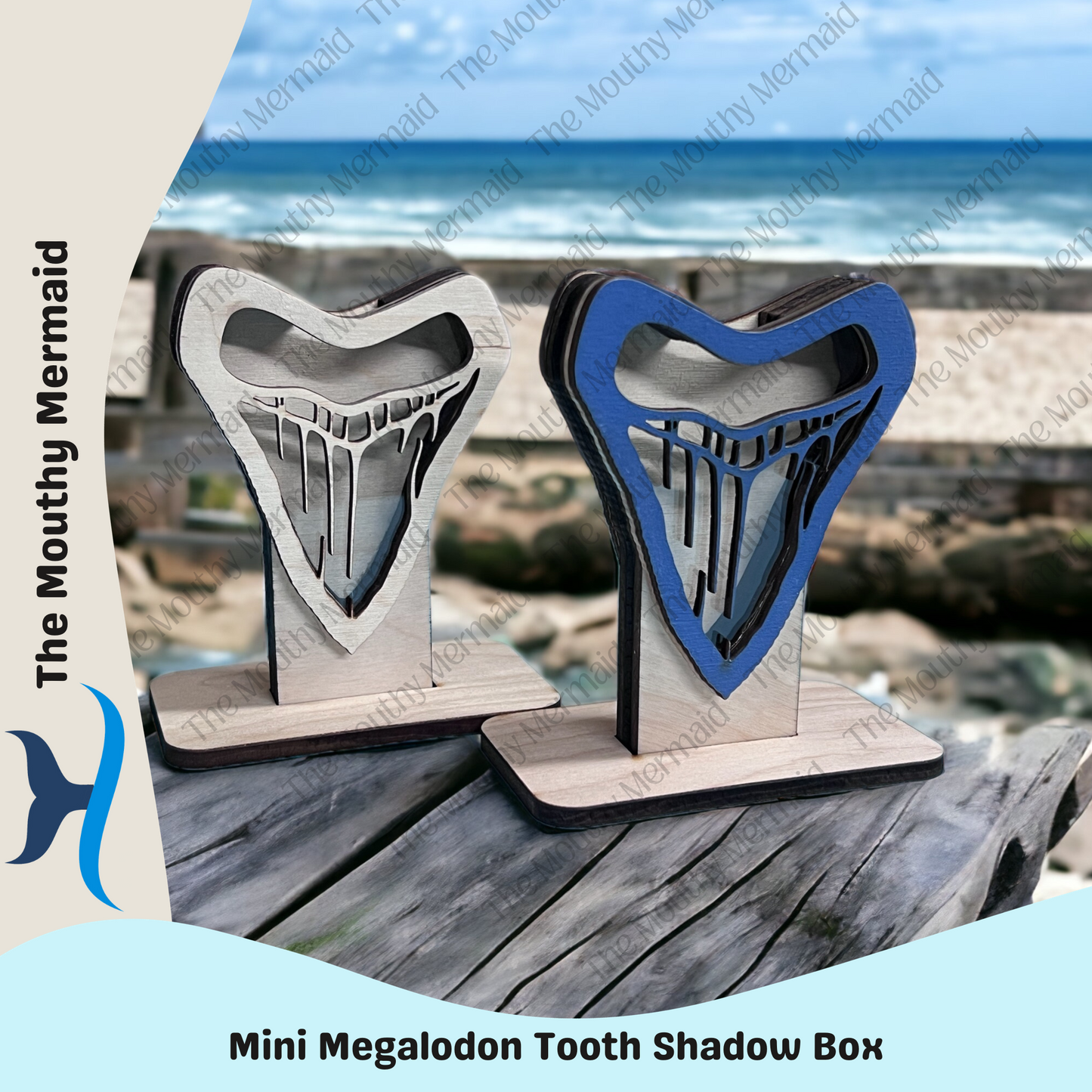 MINI Megalodon Tooth Shadow Box Display