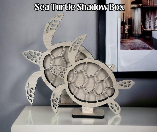Sea Turtle Shadow Box Display